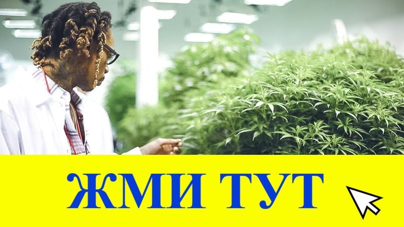 Купить наркотики в Михайловске